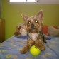 Con su pelota!no deja k nadie la toke,jejeje